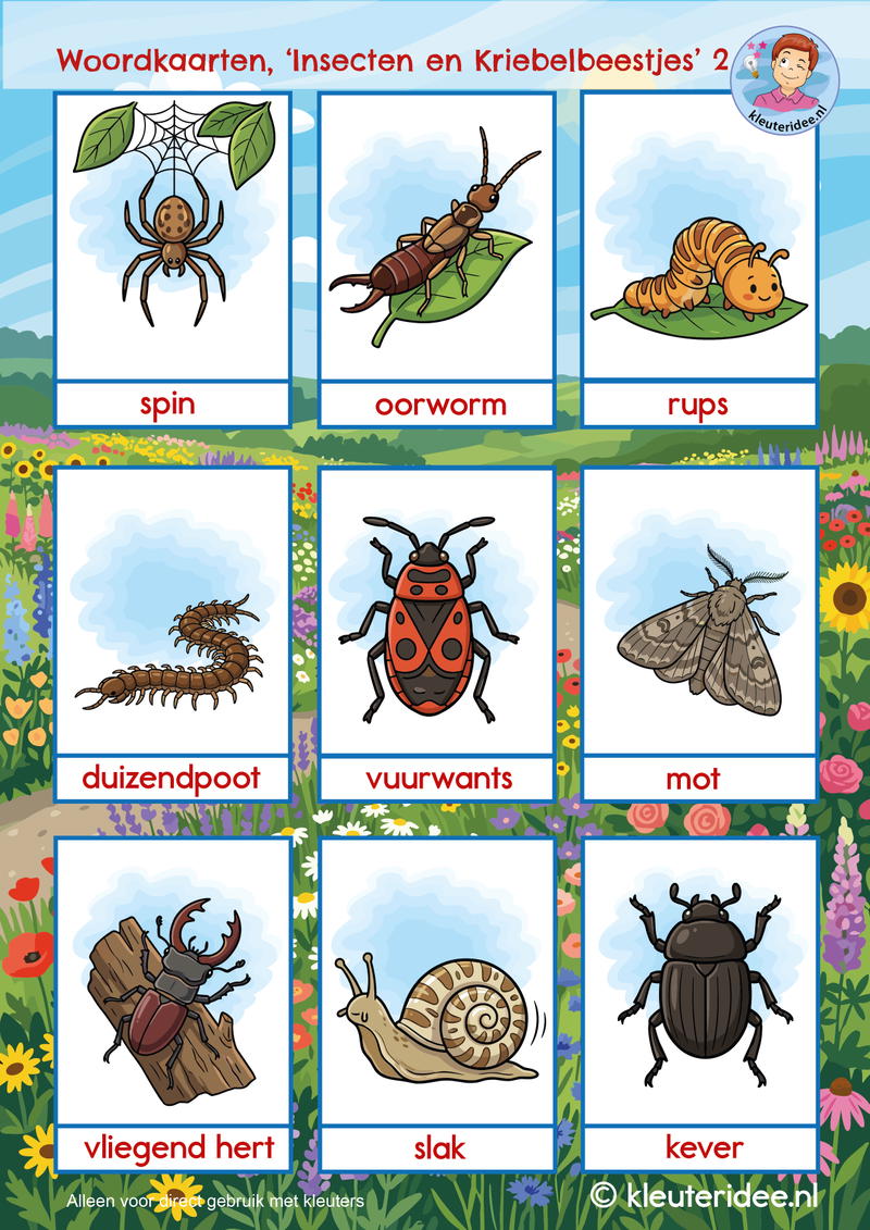 woordkaarten insecten en kriebelbeestjes kleuteridee 
